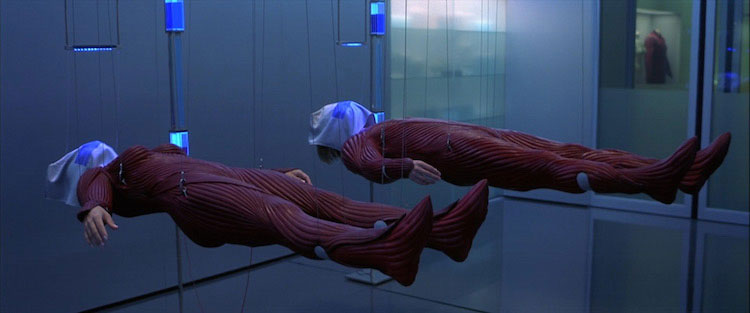 film-the-cell-divise